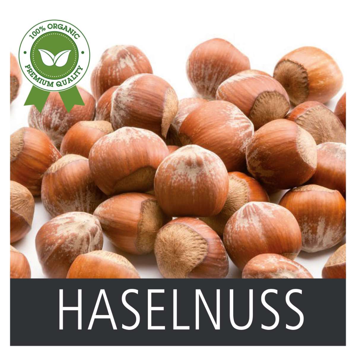 Produkt -Haselnuss 21 x 21