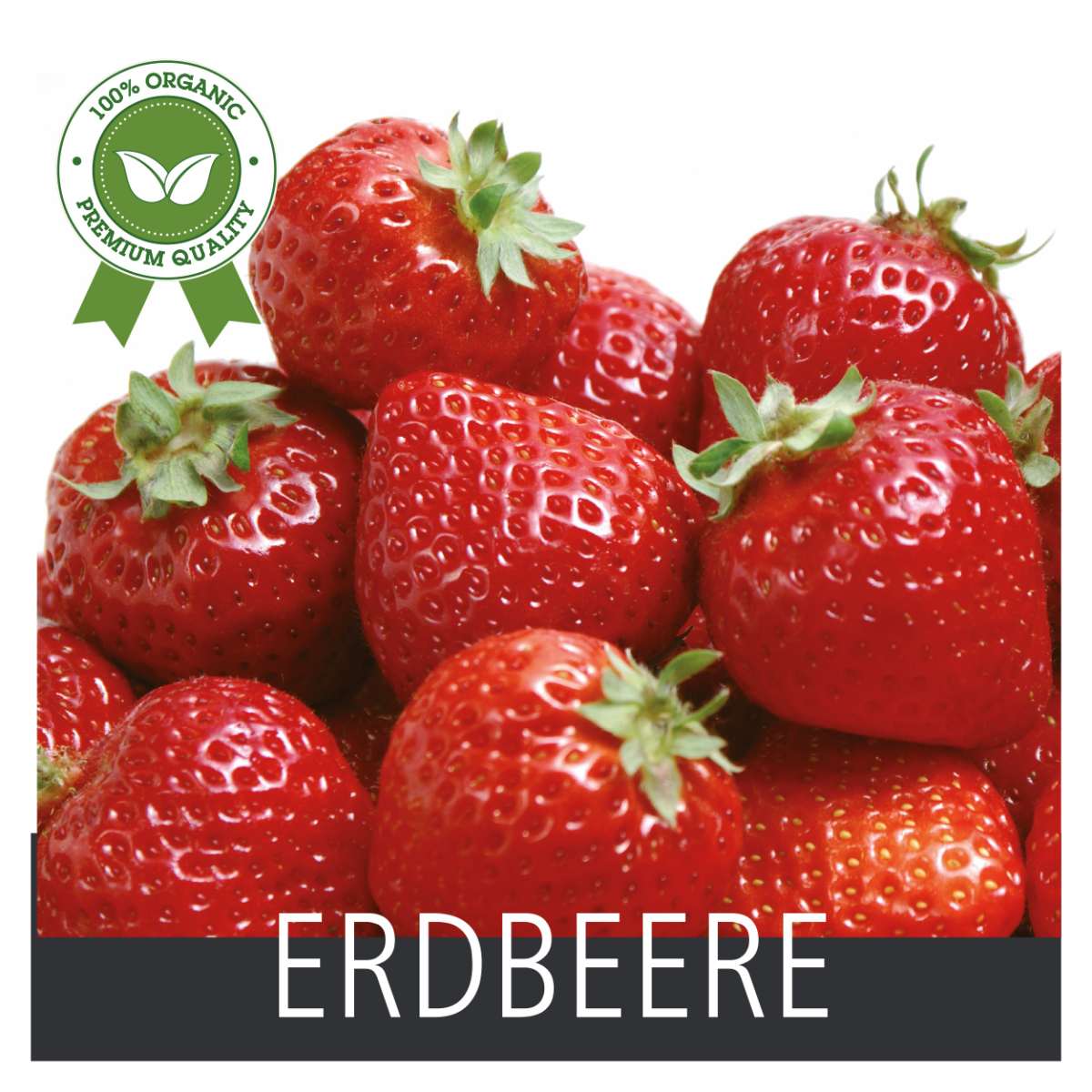 Produkt -Erdbeere 21 x 21